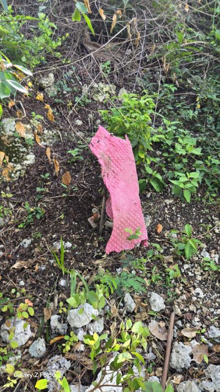 LE GOSIER terrain Gosier 97190 6