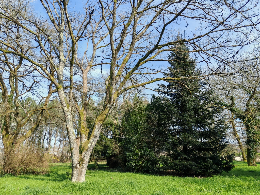 MONT-DE-MARSAN Maison YGOS ST STURNIN   150 m2 UTILES 9