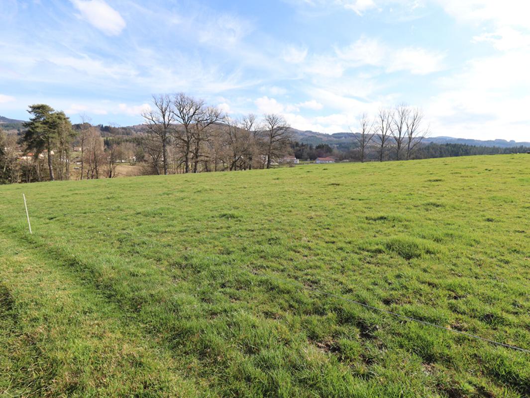 AMBERT Maison Ambert 6 pièces +/-250 m2 + 3ha de terrain environ 13