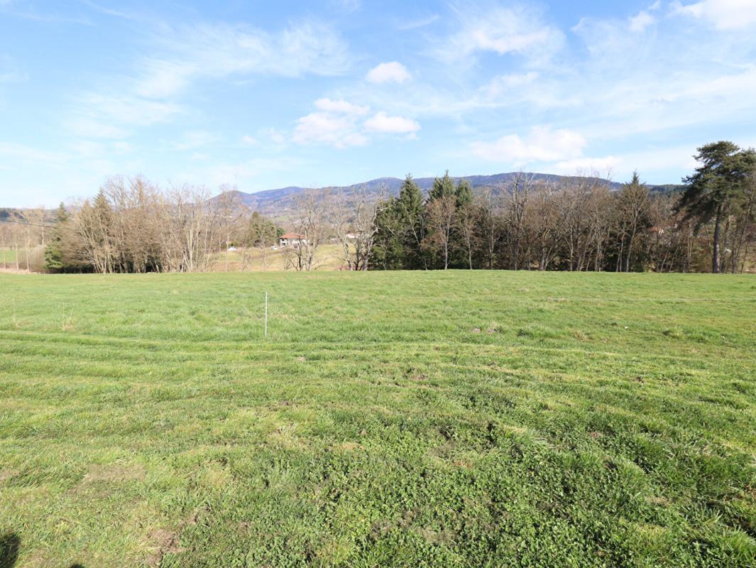 AMBERT Maison Ambert 6 pièces +/-250 m2 + 3ha de terrain environ 14