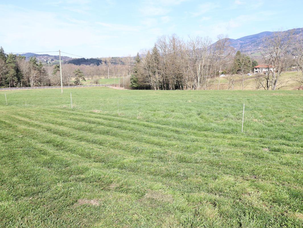 AMBERT Maison Ambert 6 pièces +/-250 m2 + 3ha de terrain environ 15