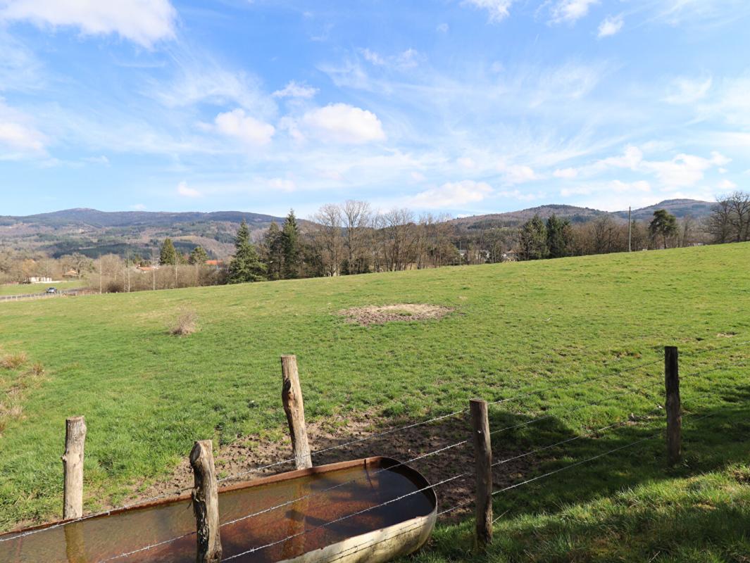 AMBERT Maison Ambert 6 pièces +/-250 m2 + 3ha de terrain environ 18