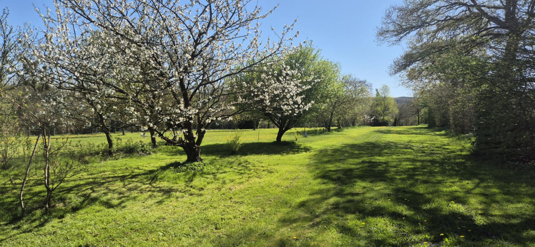 BROONS Broons  Maison avec Grand terrain 6