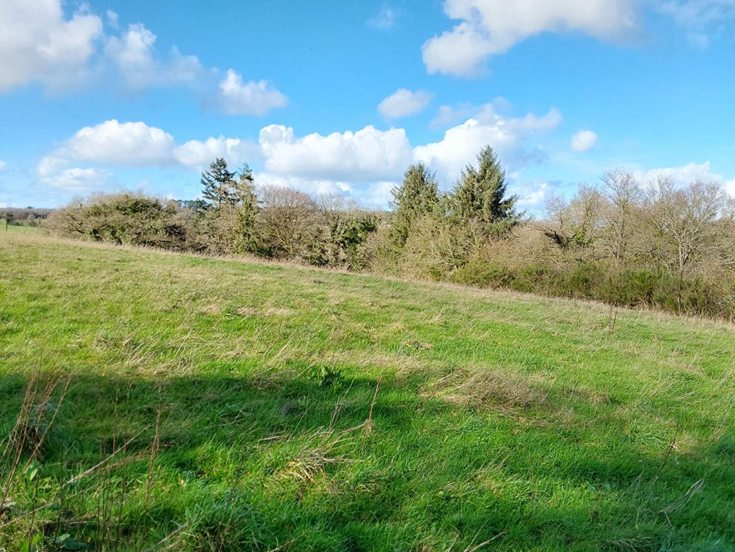 CARNOET Maison Carnoet 6 pièce(s) 120 m2 13