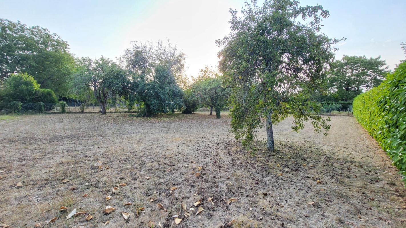 MUSSIDAN 24400 Mussidan Maison style arcachonnaise en pierres rénovée 123 m² et parcelle 1452 m2 17