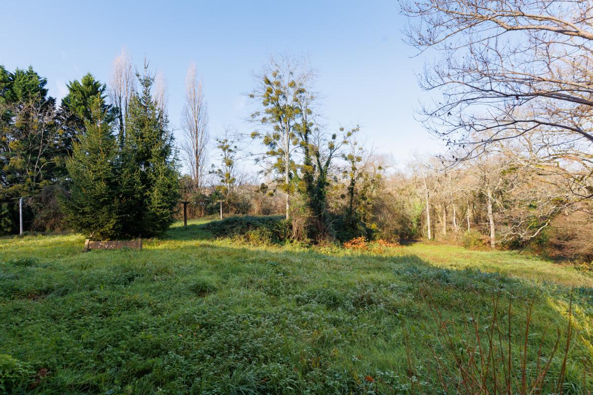 ORTHEZ Maison de campagne sur 1 hectare - Orthez 6