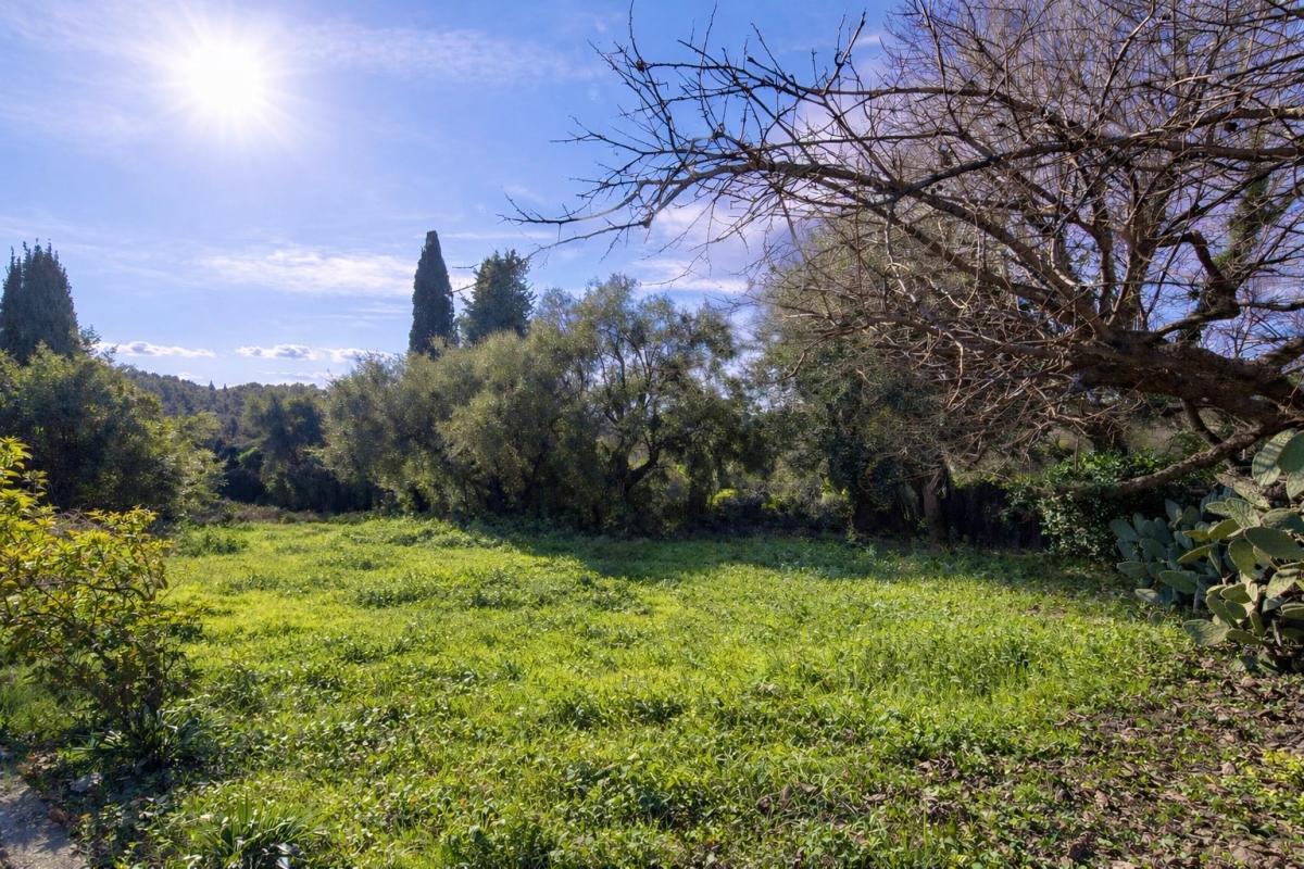 VENCE Terrain plat à bâtir Vence 1632 m2 4