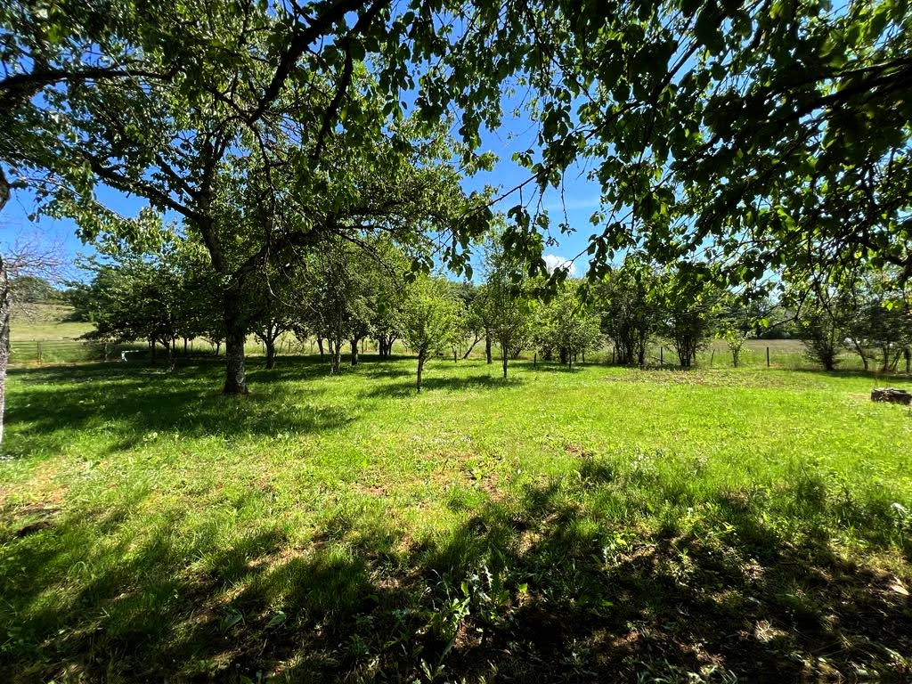 COULAURES Maison de Maitre à Coulaures 7 pièce(s) 160 m2 14