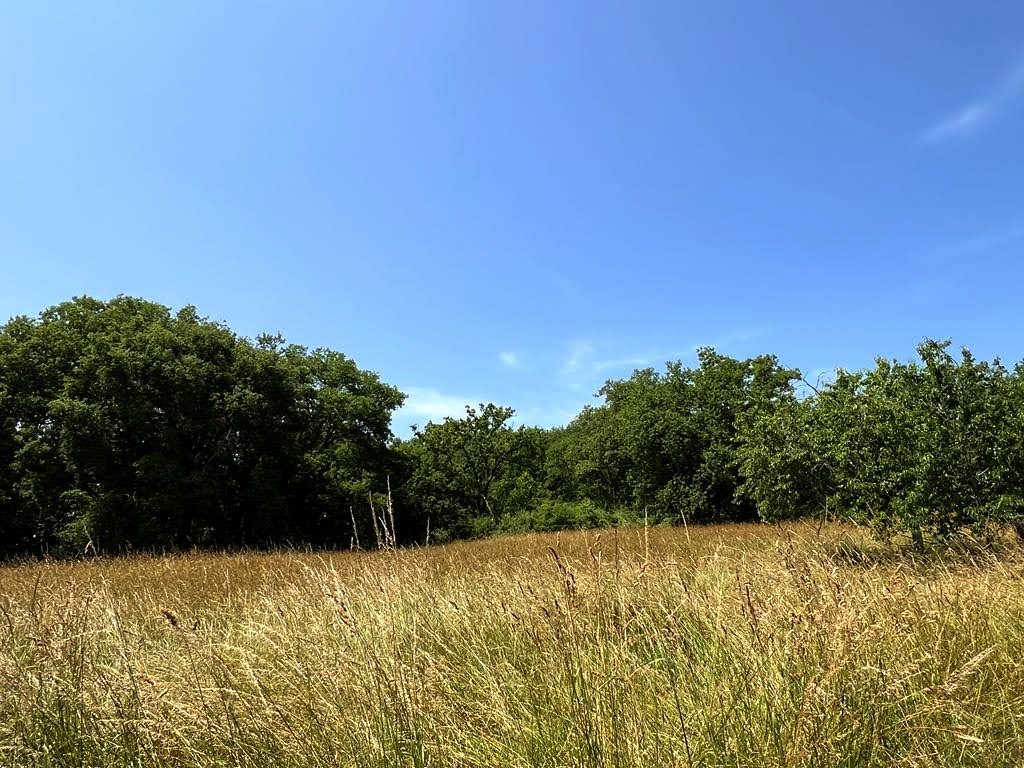 COULAURES Maison de Maitre à Coulaures 7 pièce(s) 160 m2 17