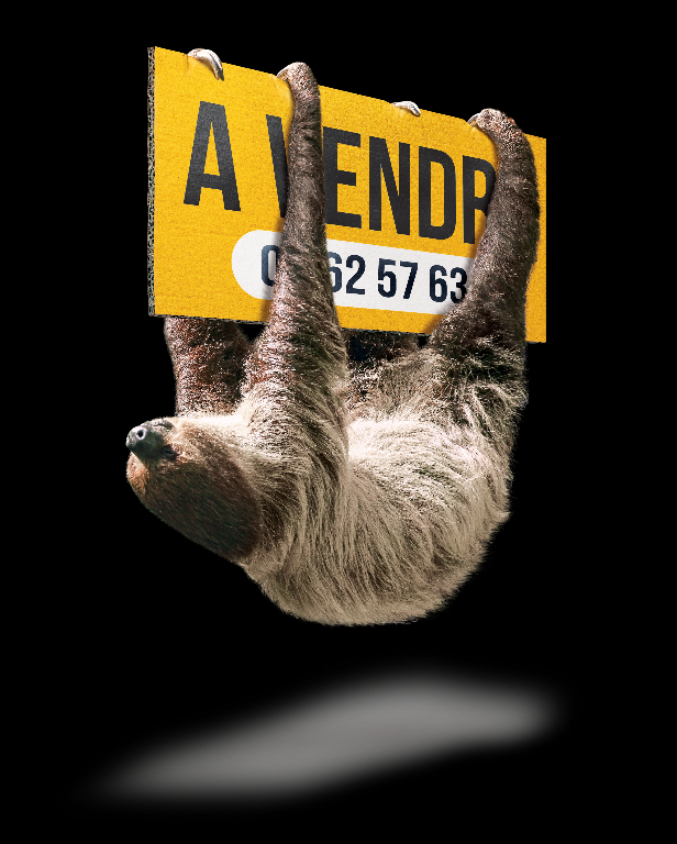 MERY-SUR-CHER Terrain de loisirs Mery Sur Cher 7840 m2 6