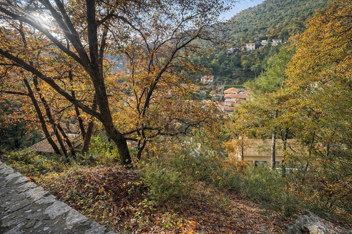 TOURRETTE-LEVENS Terrain à bâtir 2 villas, permis accepté Tourrette Levens 1600 m2 1