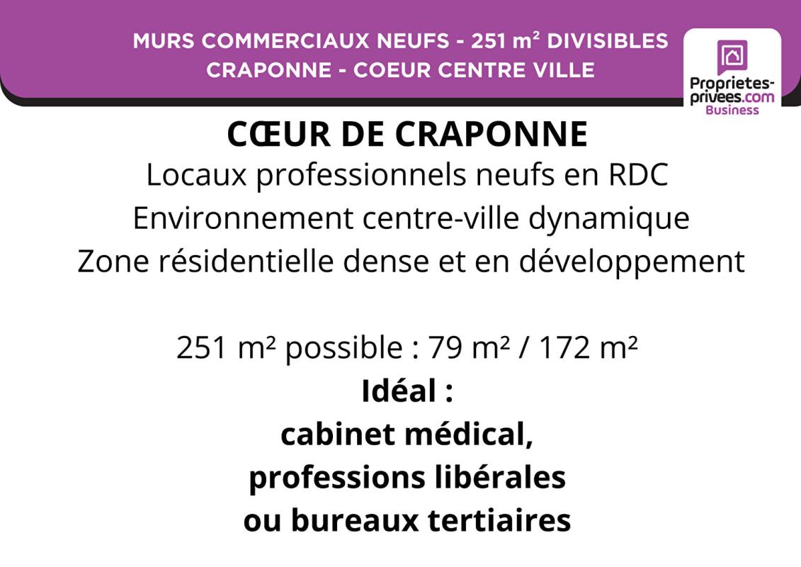 CRAPONNE MURS PROFESSIONNELS 250 m² - CRAPONNE - COEUR CENTRE 3