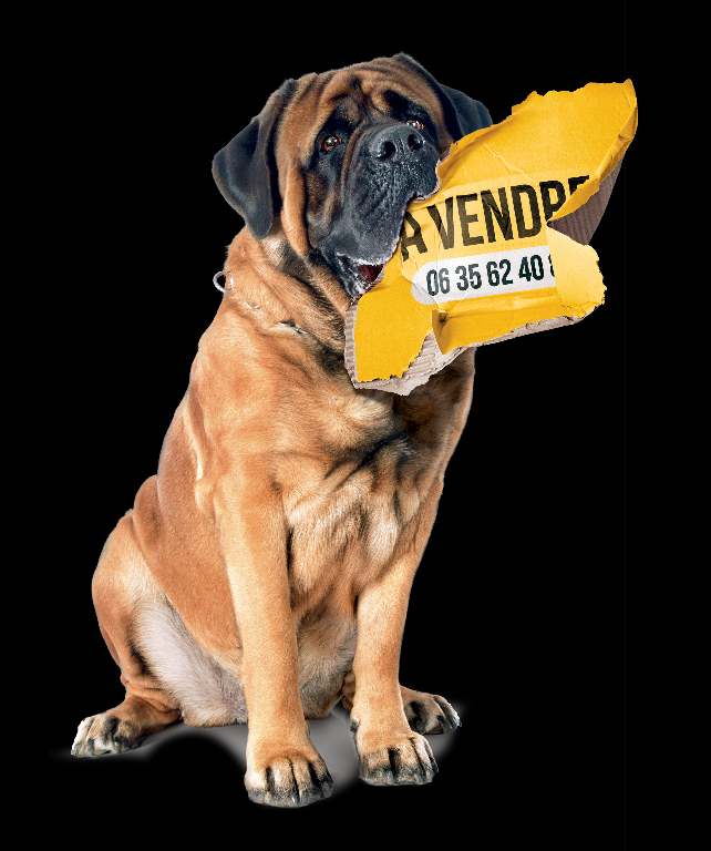 MERY-SUR-CHER Terrain Mery Sur Cher 3222 m2 7