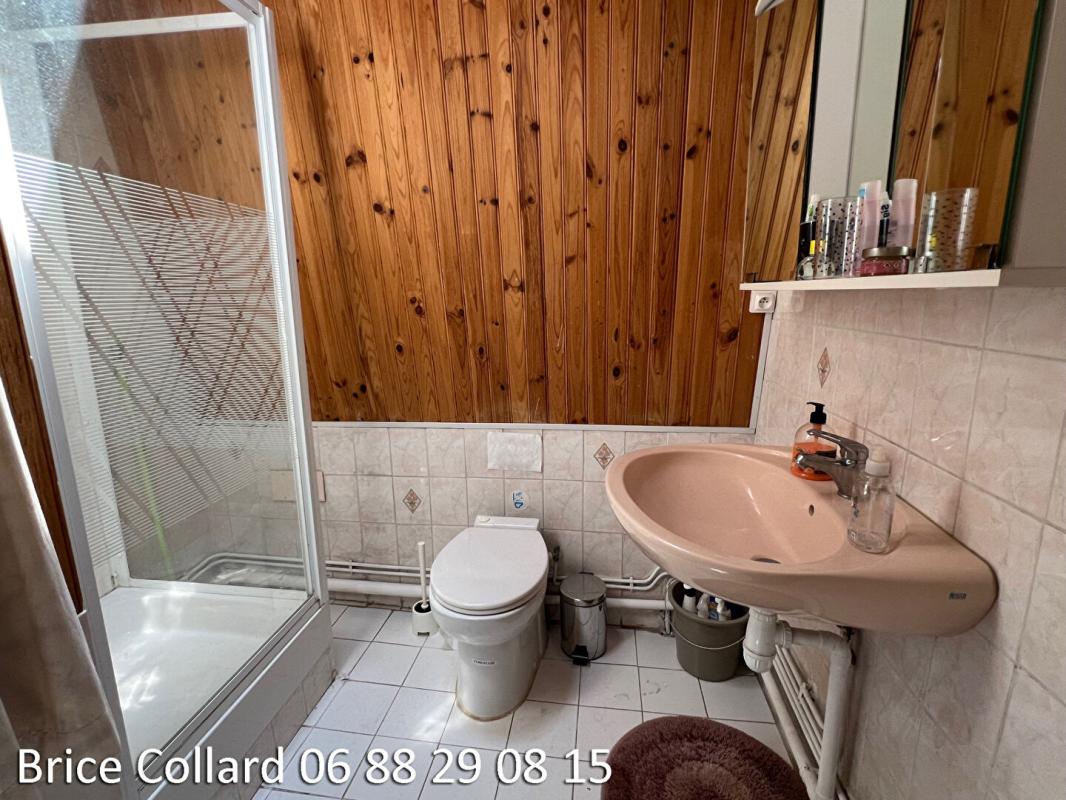 CREIL 60100 CREIL Grande maison de ville 4 chambres vue Oise 15