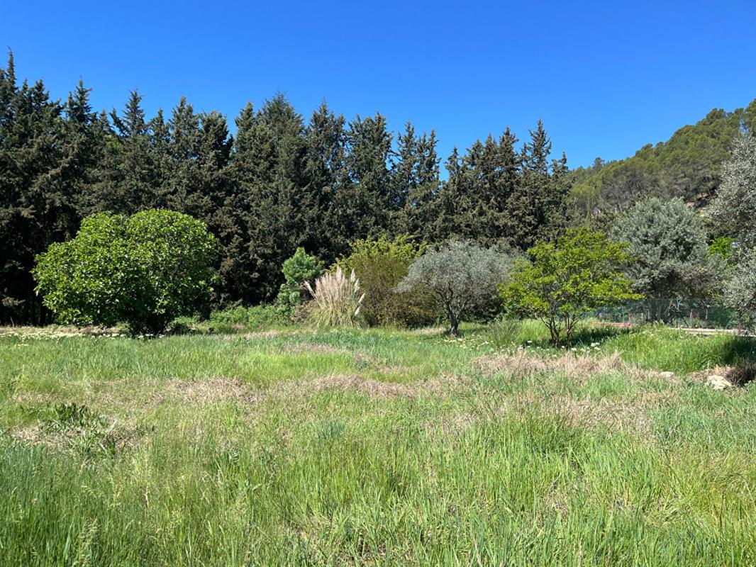 MONTFORT-SUR-ARGENS Maison 3 pièces - Montfort Sur Argens 12