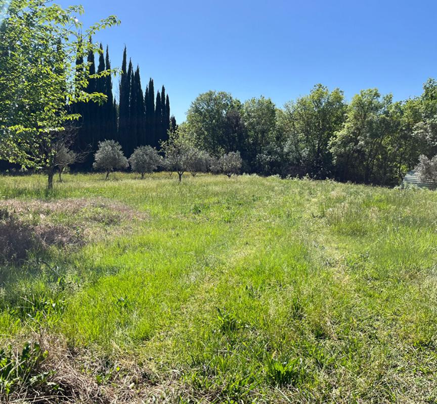 MONTFORT-SUR-ARGENS Maison 3 pièces - Montfort Sur Argens 13