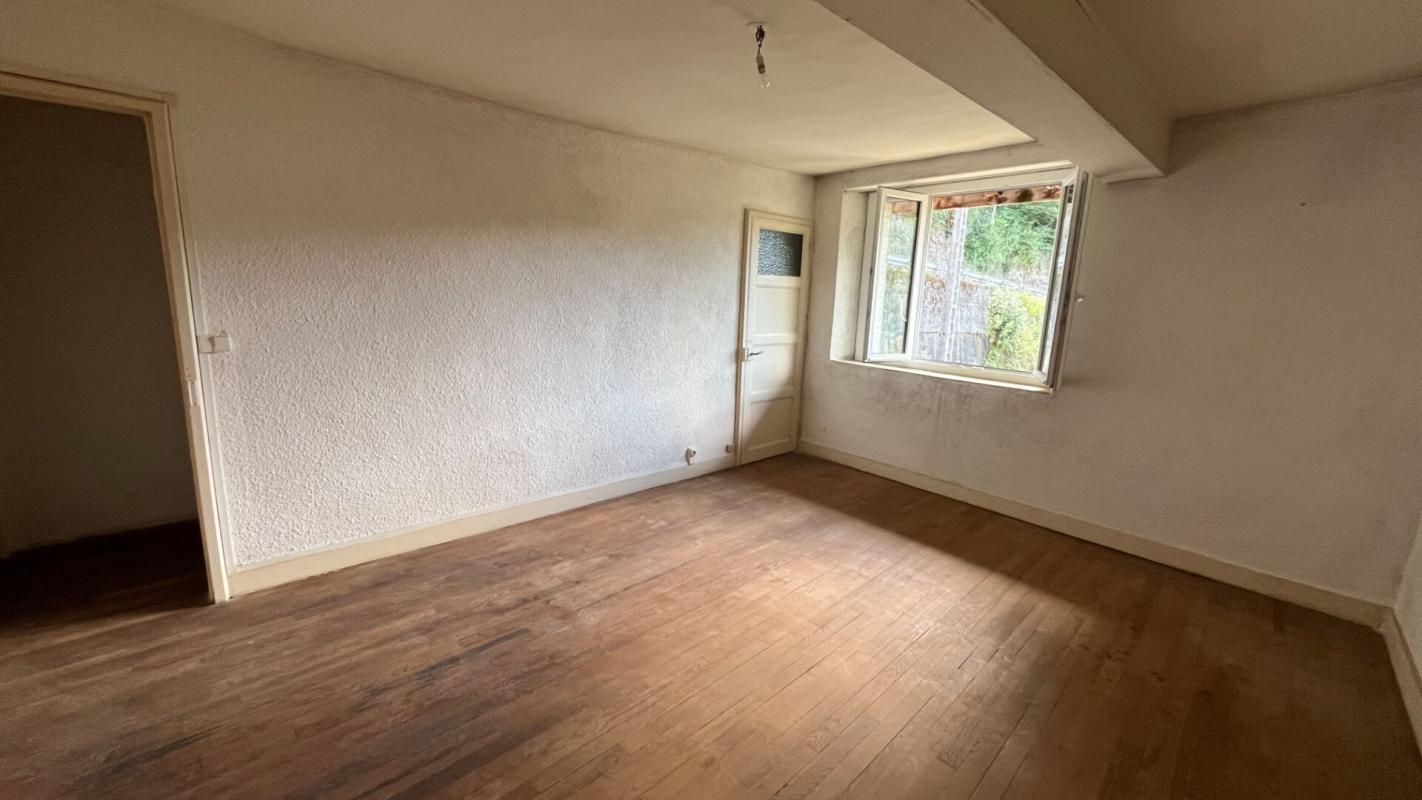 ARINTHOD Propriété en bord de rivière sur 2 hectares 8