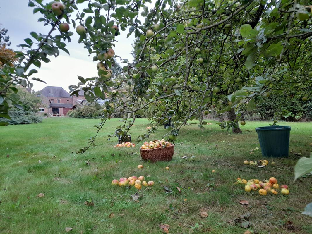 PREUX-AU-BOIS VENTE INTERACTIVE- MAISON  10 pièce(s) 308 m2 3