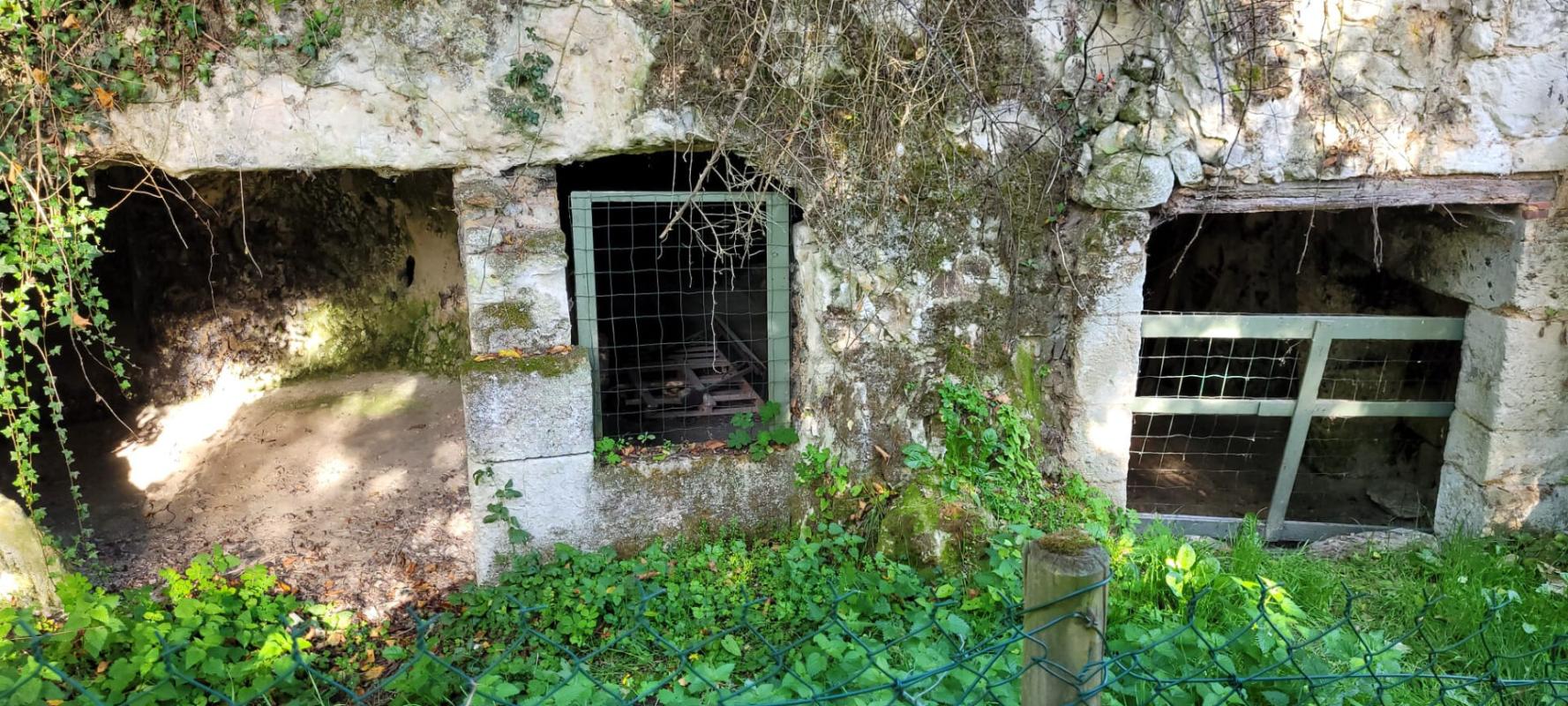 LES ROCHES-L'EVEQUE MAISON TROGLODYTIQUE AVEC CAVES ET TERRAINS 5