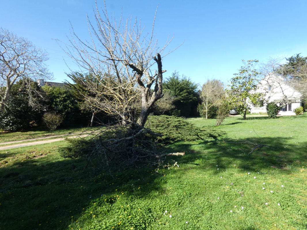 ERQUY BELLE OPPORTUNITE FONCIERE ! Terrain constructible de près de 3 000m2 6