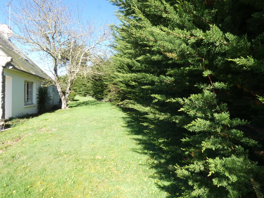 ERQUY BELLE OPPORTUNITE FONCIERE ! Terrain constructible de près de 3 000m2 7