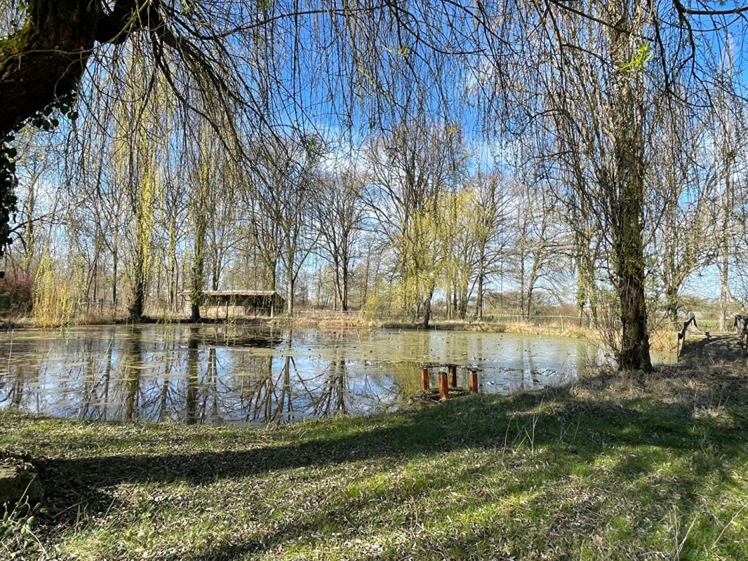 VITRY-AUX-LOGES Exclusivité - Propriété équestre au coeur de la forêt d'Orléans avec piscine, plan d'eau, prairies et bois sur 6 hectares 7 à Vitry Aux Loges 15