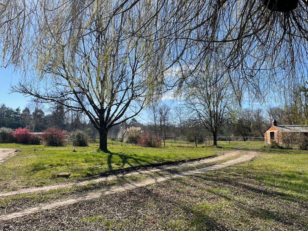 VITRY-AUX-LOGES Exclusivité - Propriété équestre au coeur de la forêt d'Orléans avec piscine, plan d'eau, prairies et bois sur 6 hectares 7 à Vitry Aux Loges 18