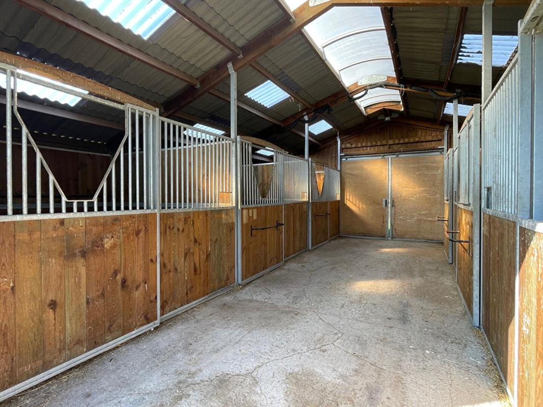 VITRY-AUX-LOGES Exclusivité - Propriété équestre au coeur de la forêt d'Orléans avec piscine, plan d'eau, prairies et bois sur 6 hectares 7 à Vitry Aux Loges 4