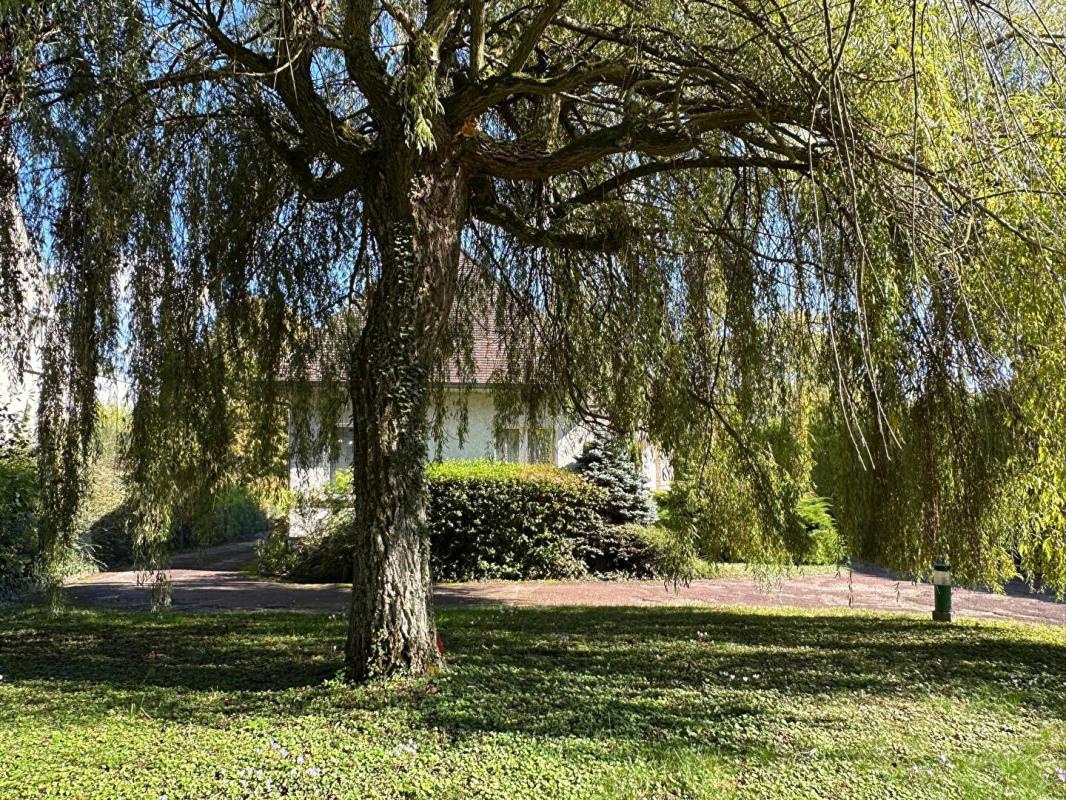 AMILLY A VENDRE Secteur recherché AMILLY - SPACIEUSE MAISON, PISCINE, JARDIN, ACCES  PRIVATIF AU CANAL DE BRIARE 14