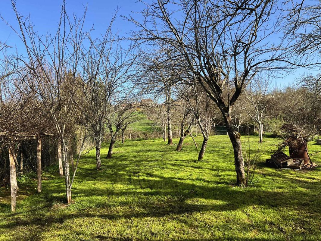 CORGNAC-SUR-L'ISLE Maison Corgnac Sur L Isle 5 pièce(s) 80 m2 14