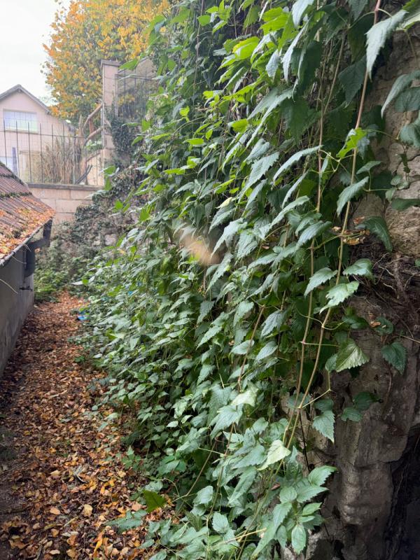 CREPY-EN-VALOIS Maison de Type 4 16