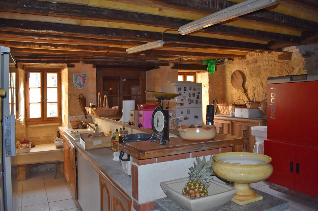 SALIGNAC-EYVIGUES Demeure de prestige Salignac Eyvignes 9 pièce(s) 275 m2 16