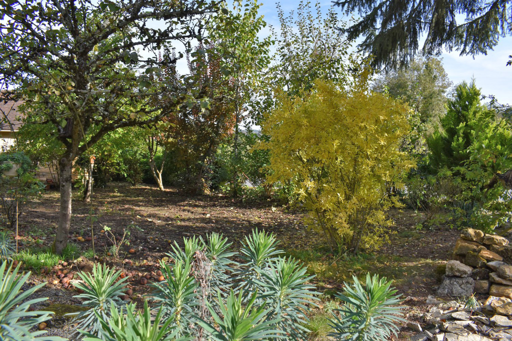 SALIGNAC-EYVIGUES Demeure de prestige Salignac Eyvignes 9 pièce(s) 275 m2 17