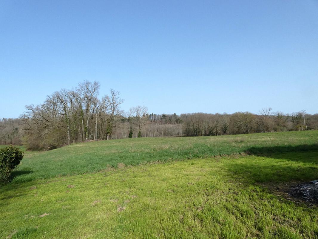 NAILHAC Maison Nailhac 160 m2 / 4 chambres / grange / hangar / terrain 1 hectare 7