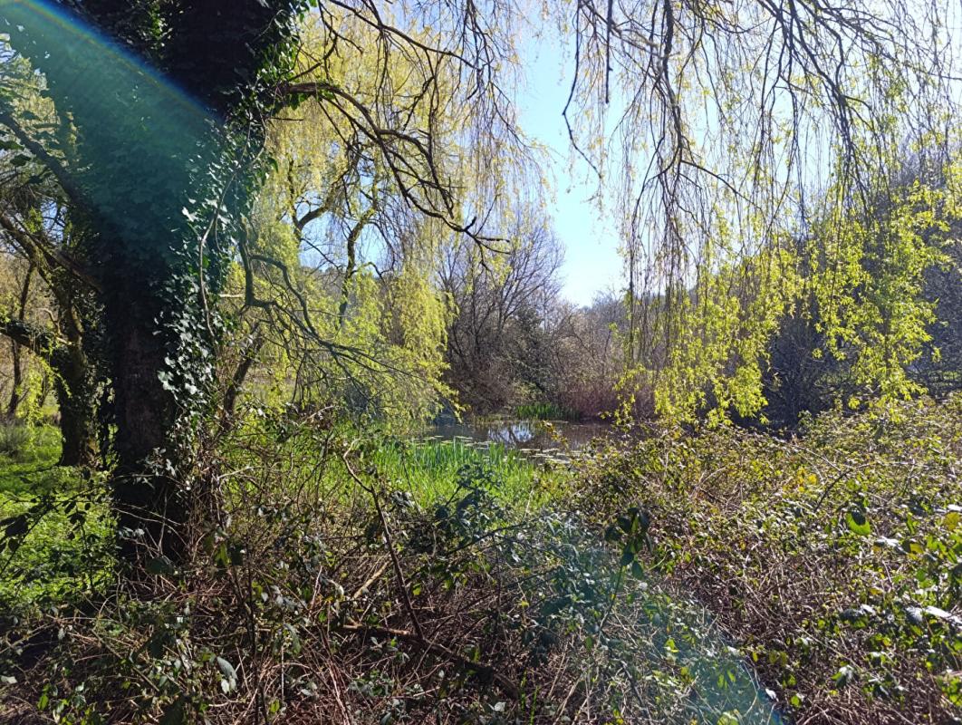 SAINT-BARTHELEMY Maison  4 pièce(s) 81 m2 8