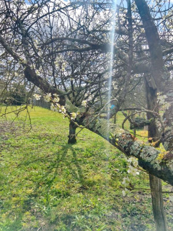 DEOLS Terrain constructible 1