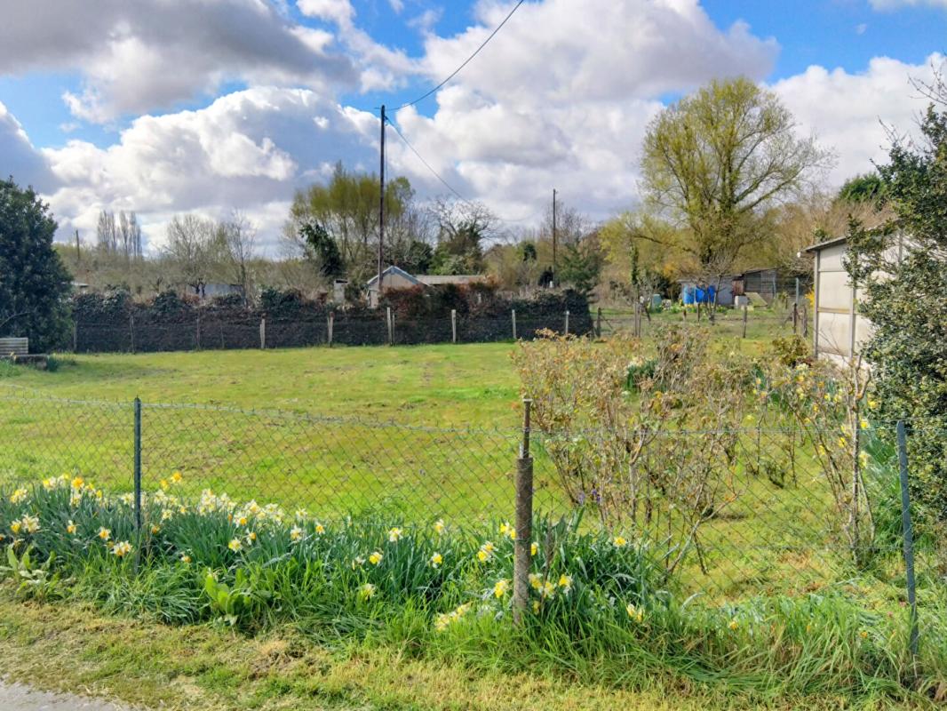 DEOLS Terrain constructible 5