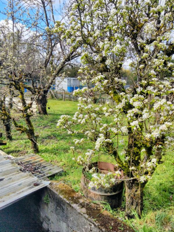 DEOLS Terrain constructible 7