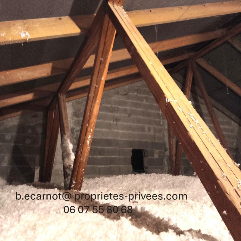 EYBENS Appartement Eybens 4 pièce(s) 78.85 m2 - combles aménageables 10