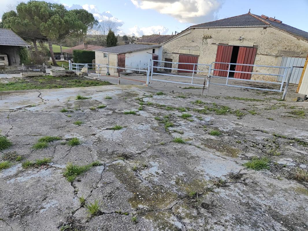 SAINT-VIVIEN-DE-MONSEGUR Corps de ferme en pierre 300m²  à  réhabiliter + hangars sur terrain de 6500 m² 5