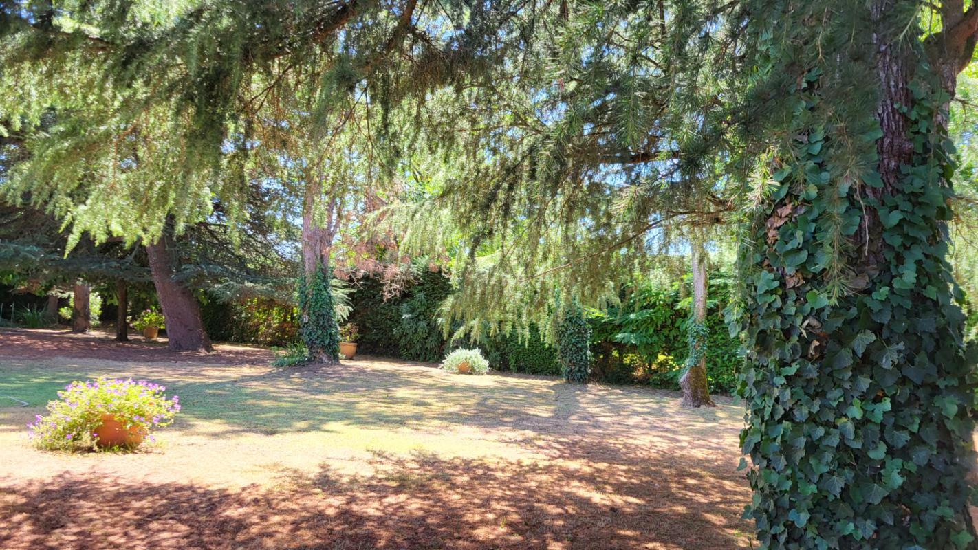 MUSSIDAN Mussidan centre ville Maison d'architecte 10 pièces, 290 m² habitables piscine parc de  3110m² 5