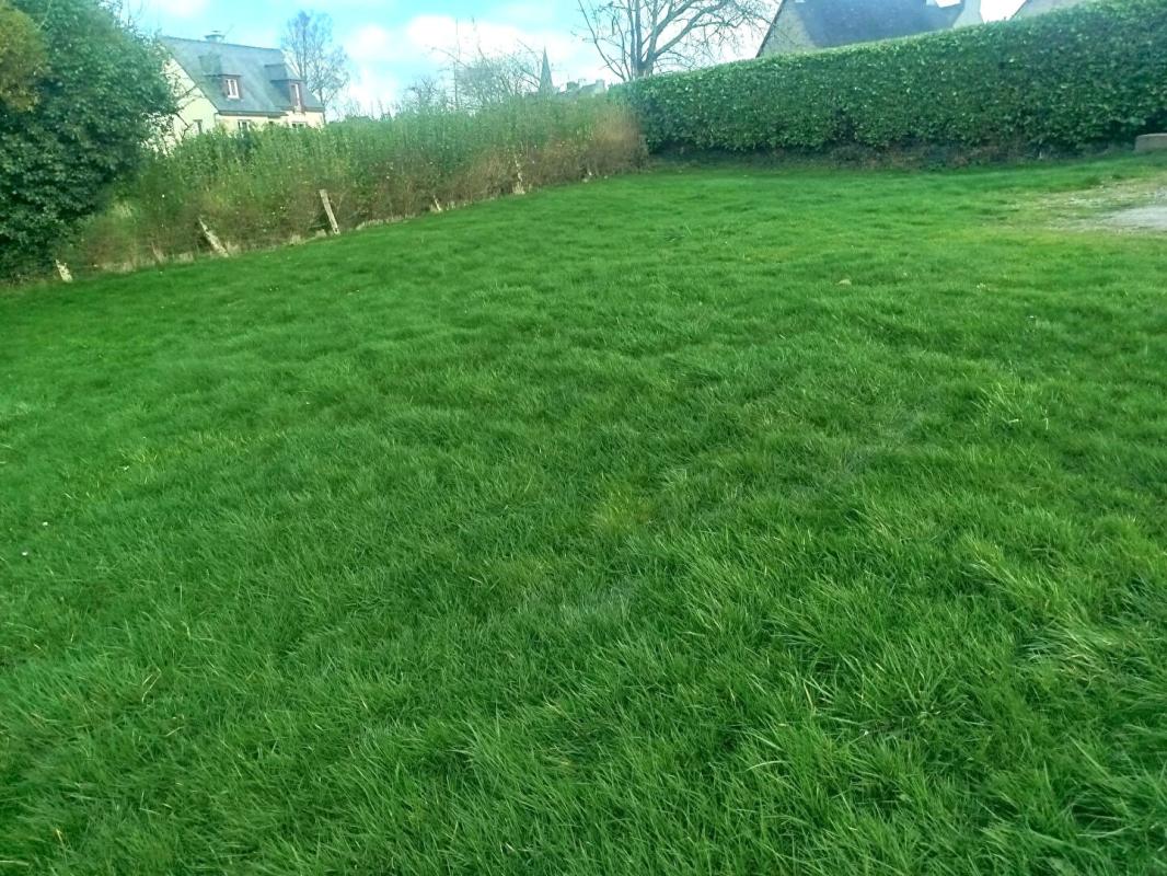 COLLINEE Maison de bourg sans travaux 14