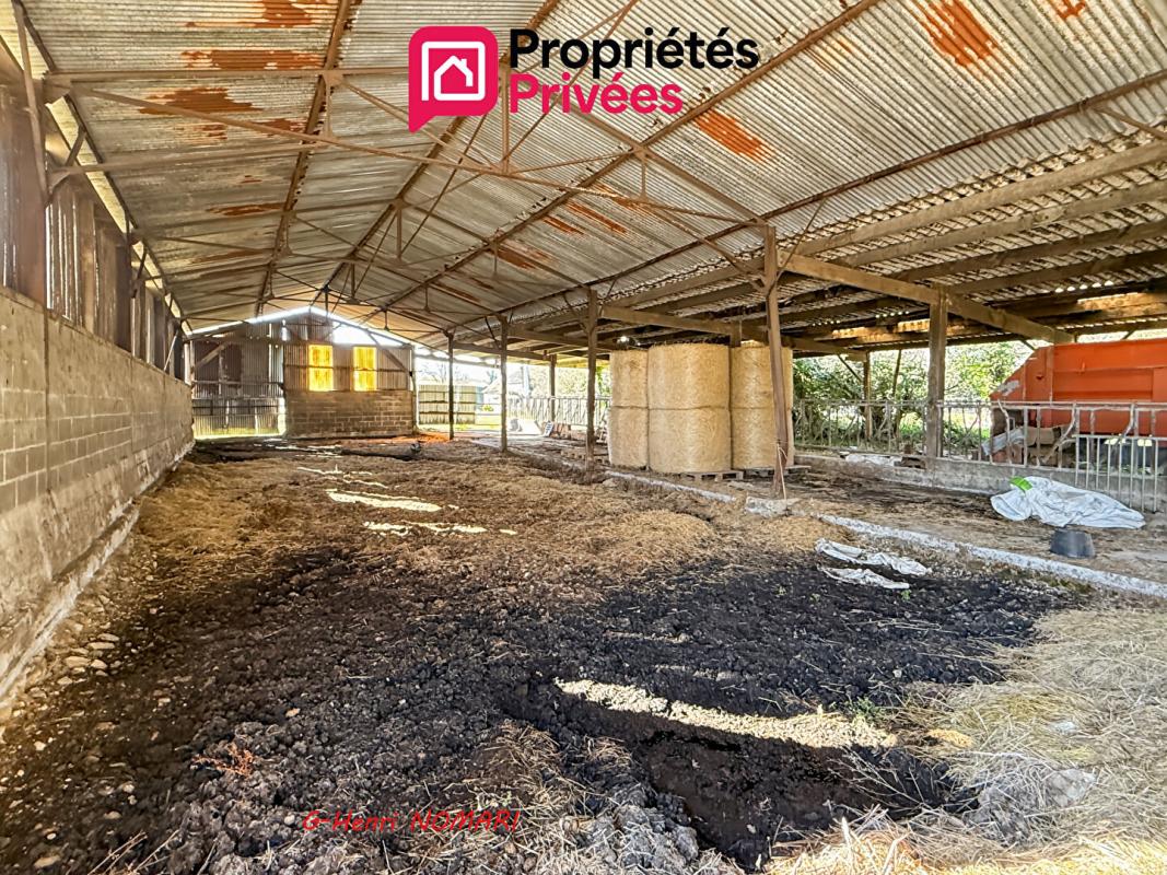 MARTIGNE-FERCHAUD Maison ou Ancienne ferme à Martigné Ferchaud 8 pièce(s) 207 m2, 3,8 hect. de terrain 14