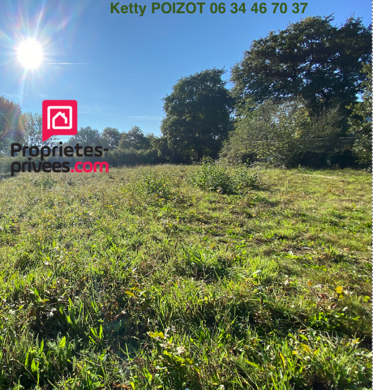 SUCE-SUR-ERDRE Exclusivité - A vendre Beau Terrain constructible  sur la Commune de Sucé sur Erdre 44240 1