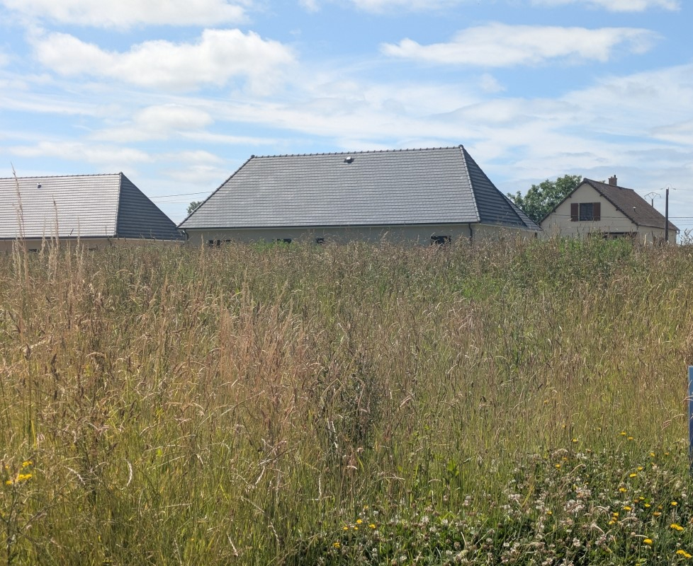 SAINTE-MARGUERITE-SUR-FAUVILLE Terrain Sainte Marguerite Sur Fauville 704 m2 2