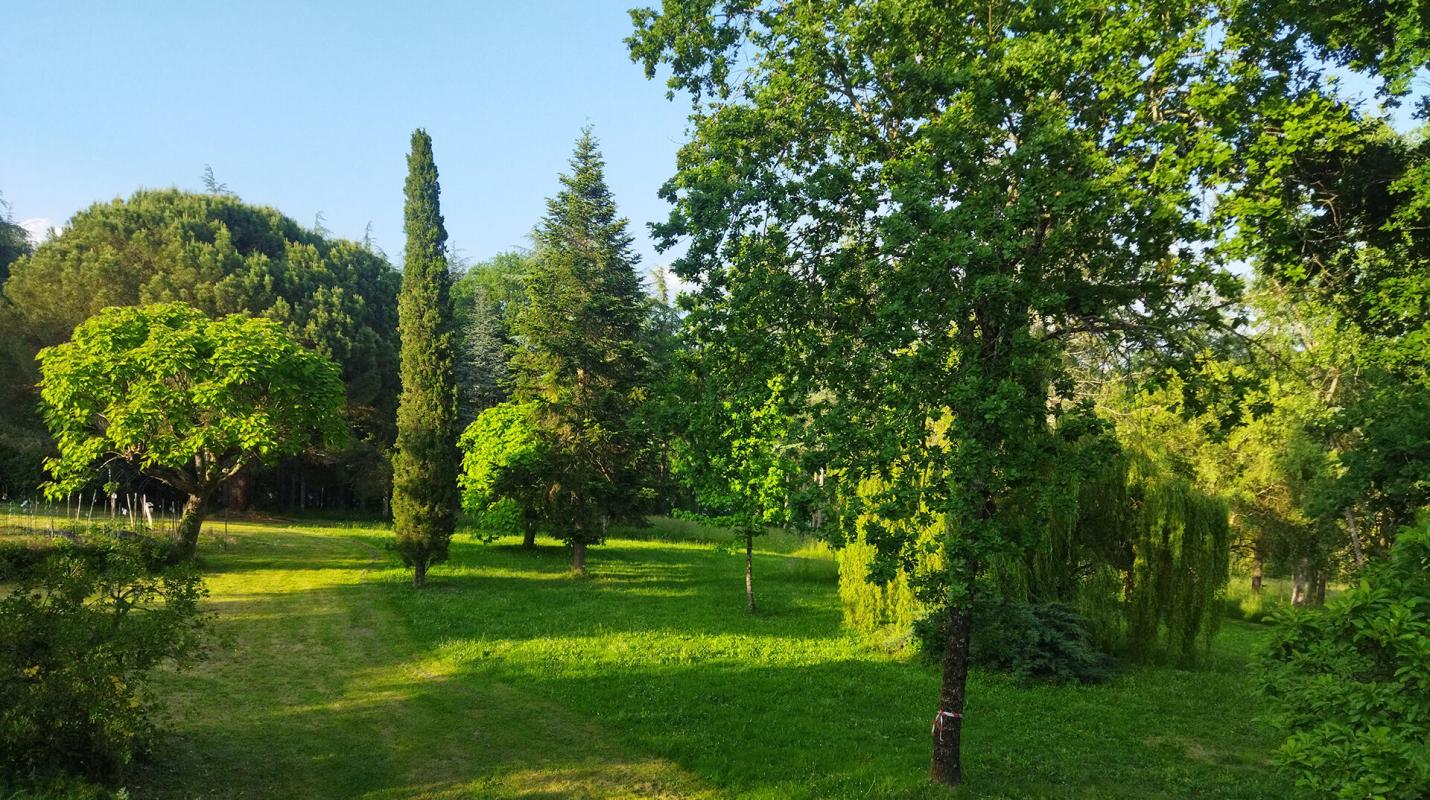 SEYCHES Spacieuse maison avec atelier, piscine et superbe potentiel sur un beau terrain 13