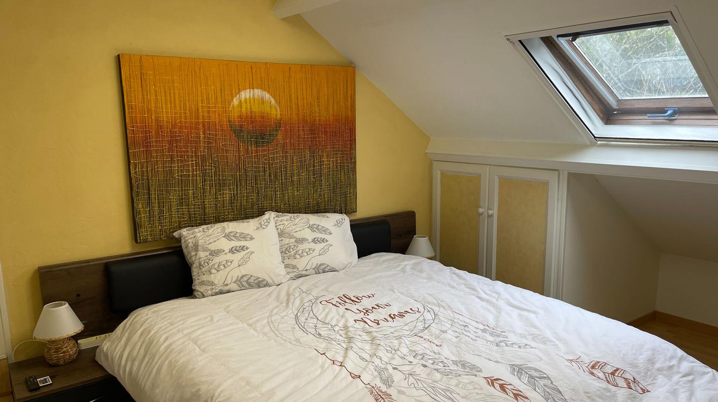 SEYCHES Spacieuse maison avec atelier, piscine et superbe potentiel sur un beau terrain 9