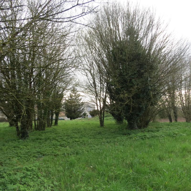 FONTENAY-LE-COMTE Exceptionnel Terrain à bâtir 3