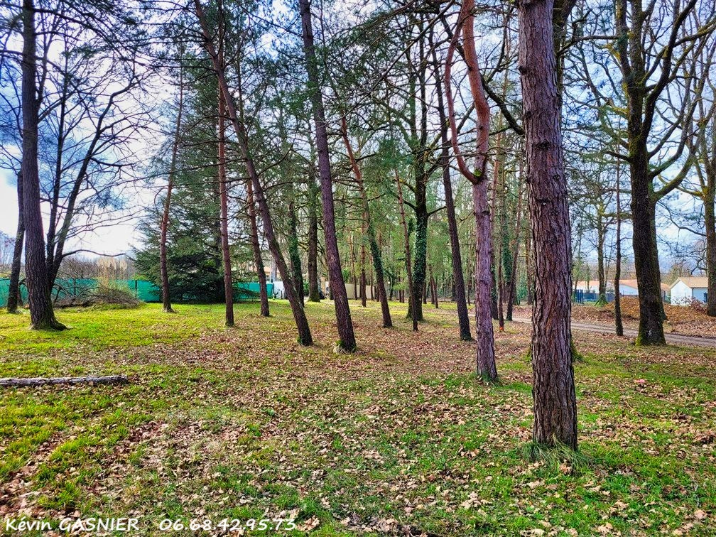 DIRAC DIRAC (16410) : Terrain constructible de 1043m2 a viabiliser 2