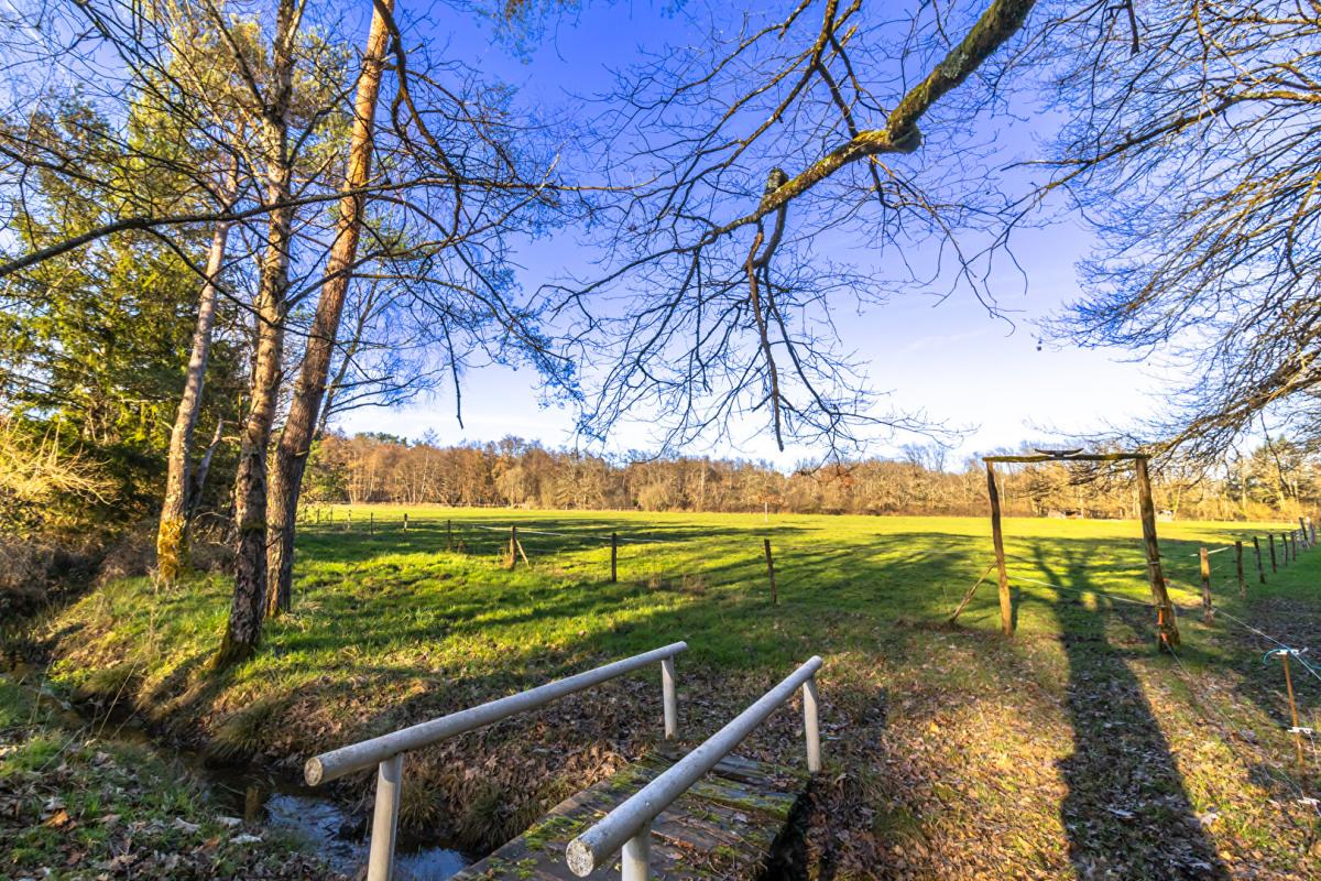 NEUVY-SUR-BARANGEON Maison Neuvy Sur Barangeon 6 pièce(s) 210 m2 14